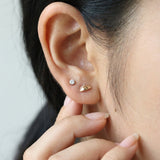 Curry Puff Studs