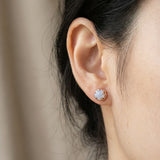 Ice Gem Biscuit Studs (Blue Lace Agate)