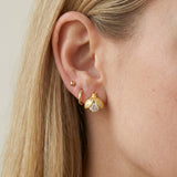 Ladybug Studs