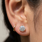 Martini Screwback Studs by Elate