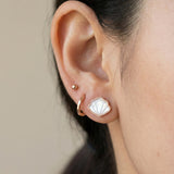Seashell Mother of Pearl Studs