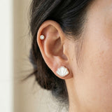 Seashell Mother of Pearl Studs