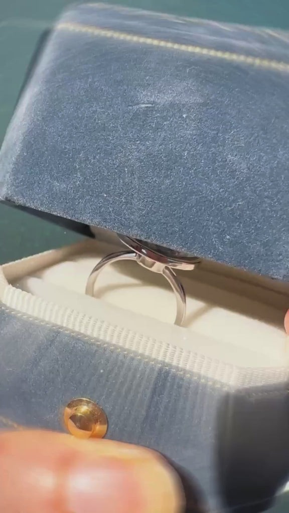 spinning magical kingdom ring in silver